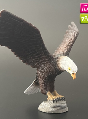 collecta我你他 白头海雕 仿真动物鸟类鹰飞禽模型玩具88383
