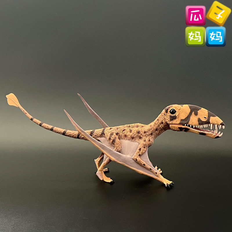 collecta我你他 双型齿翼龙仿真远古恐龙动物塑胶模玩具88798