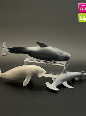 colleceta我你他领航鲸双髻鲨儒艮仿真海洋鲨鱼动物模型玩具88766