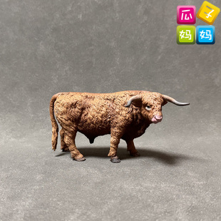 英国collecta我你他2024高地牛仿真儿童认知玩具仿真动物模80011