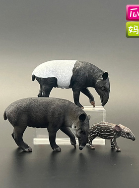 collecta我你他马来貘中美貘仿真丛林动物模型儿童认知玩具88881