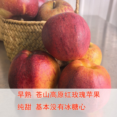 百草萝云南大理苹果冰糖心