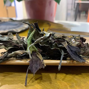 百草萝古树白茶2024年春茶顺滑甘甜越陈越香云南高山白茶性价比高
