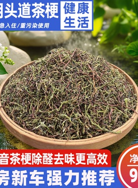 新茶叶梗去甲醛家用装修除味茶梗散装新房新车吸味茶叶铁观音茶梗
