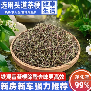 新茶叶梗去甲醛家用装修除味茶梗散装新房新车吸味茶叶铁观音茶梗
