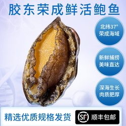 烟台威海青岛特产渤海湾鲜活鲍鱼新鲜带壳煲汤红烧冷冻顺丰佛跳墙