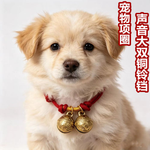 宠物铃铛项圈狗狗猫黄铜铃铛颈环