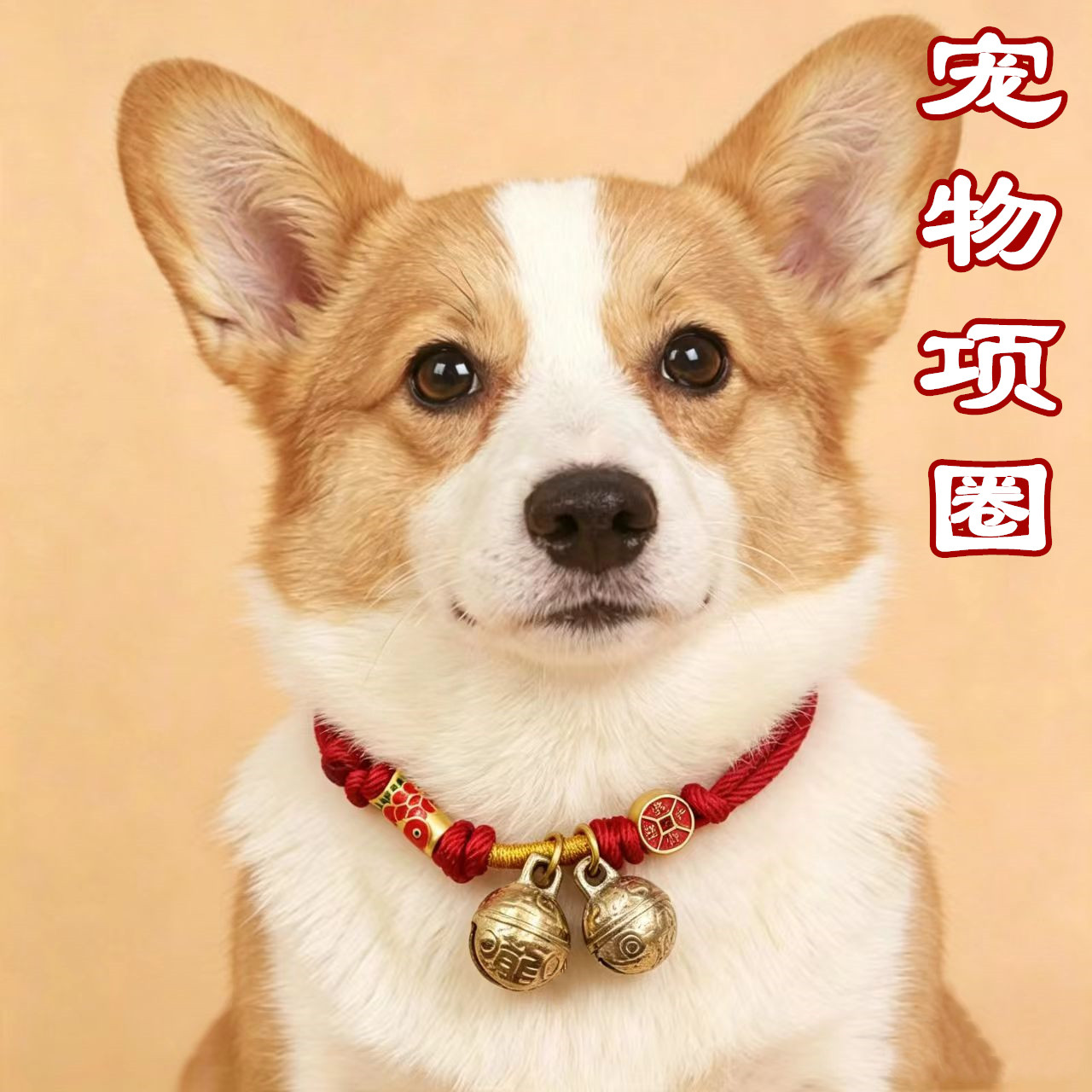 狗狗猫咪宠物项圈大中小型犬