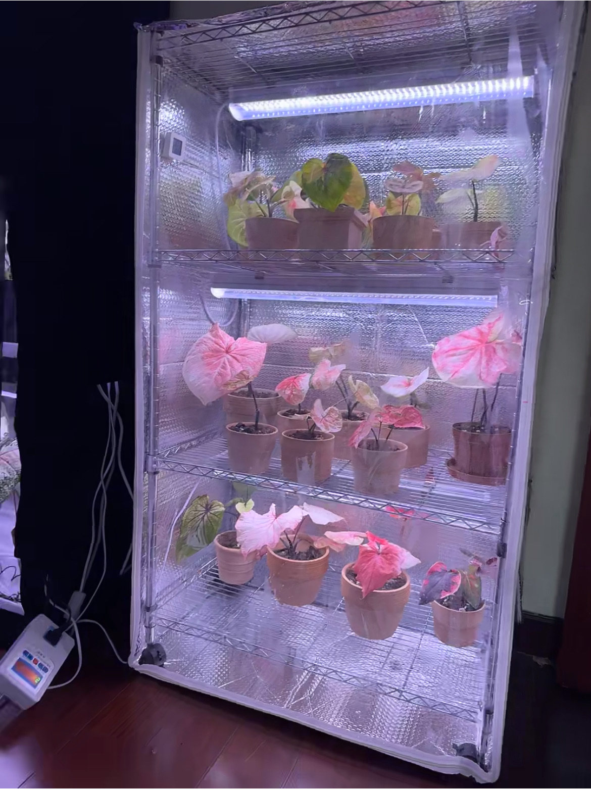 多功能爬虫饲养架爬宠空气凤梨花爬宠缸/箱