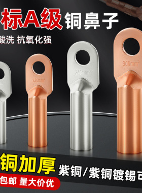 DT铜鼻子紫铜接线端子线耳镀锡堵油铜接头10/16/25/300平方铜线耳