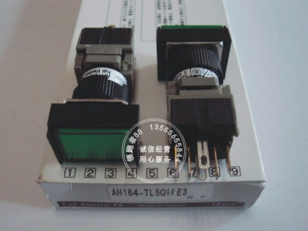 富士带锁按钮开关AH164-TL5O11E3