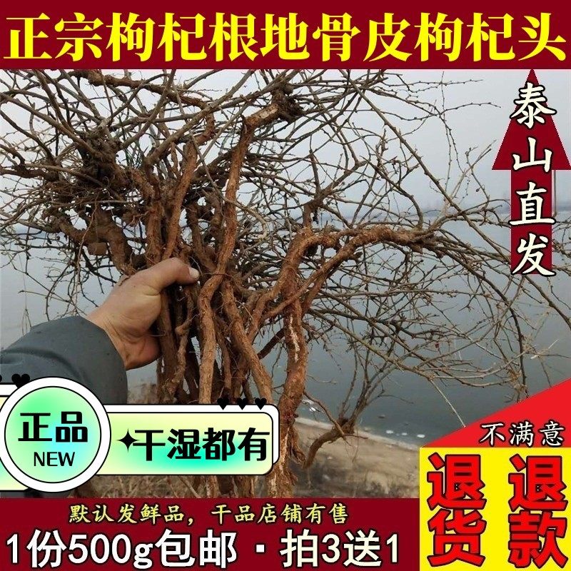 山东新鲜枸杞根枸杞头杞根地骨皮地辅地节山杞子根中药材500g包邮