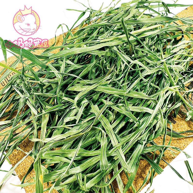 包邮高纤维草试吃SPS高山草果树草小麦草大麦燕麦草花园草段100克