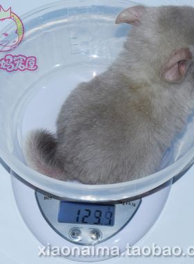 电子秤厨房秤龙猫体重秤带碗