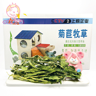 赫尔达菊苣草龙猫兔子豚鼠调理肠胃改善食欲治疗软便清热解毒下奶