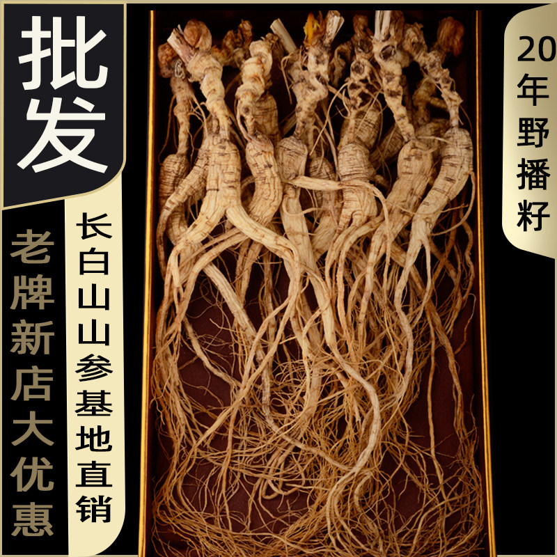 人参野籽山参林下参长白山林下籽参货鲜参原皮白参东北特产礼盒