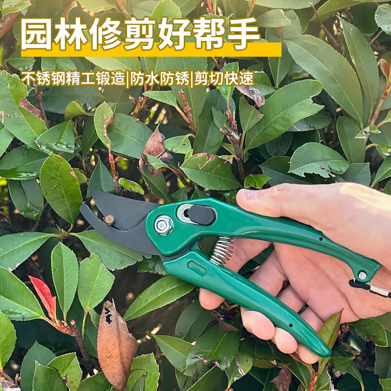 日本ECHO园艺剪刀园林修枝剪果树剪树枝花艺花剪家用盆景花卉剪刀