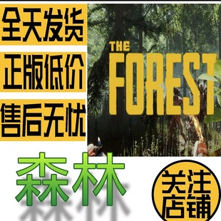 Forest Steam 迷失森林 The 一切可改找回包賠 全新成品賬號(hào)