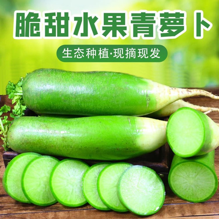 新鲜潍坊潍县青萝卜5斤甜脆水果萝卜行政街萝卜小果优惠款包邮,水产肉类/新鲜蔬果/熟食,萝卜/胡萝卜,淘宝优惠券,粉丝福利购,淘宝优惠卷