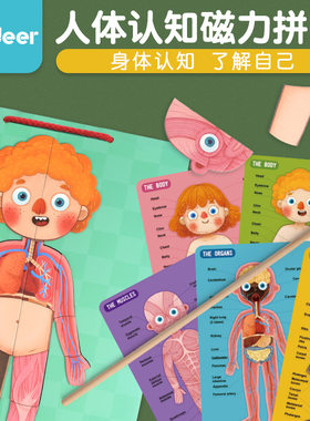 mideer弥鹿人体认知身体结构磁力拼图男女孩儿童早教教具益智玩具