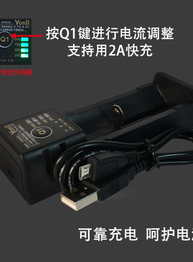 21700/18650充电器紫光
