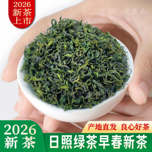 日照绿茶2026新茶特级板栗香
