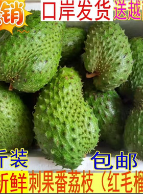 红毛进口soursop食疗包邮番荔枝