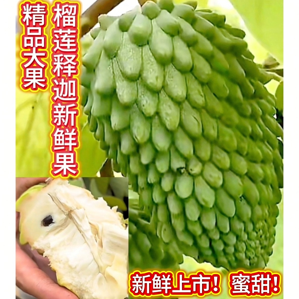 泰国榴莲释迦果新鲜果非凤梨释迦精品特大果番荔枝新品种上市包邮