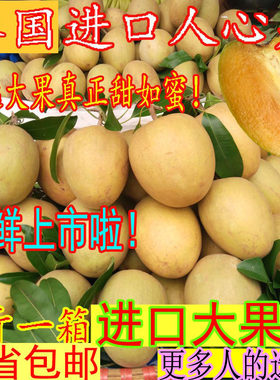 泰国特级人心果非人参果新鲜水果