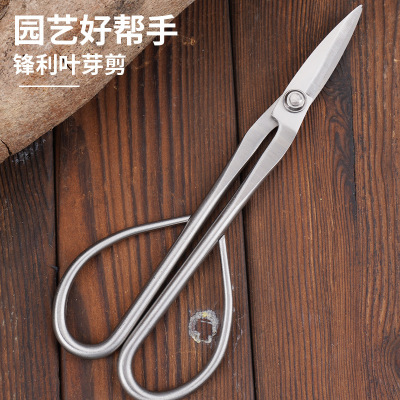 全不锈钢嫩芽修枝园艺剪盆景修剪