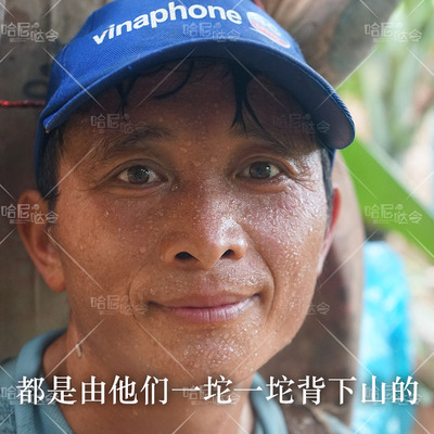 哈尼哒令云南山地丑香蕉