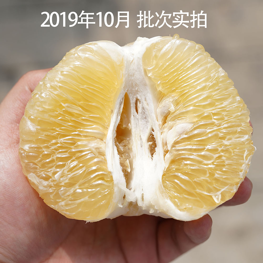 哈尼哒令山地葡萄柚当季水果叶酸水果新鲜5斤9斤装