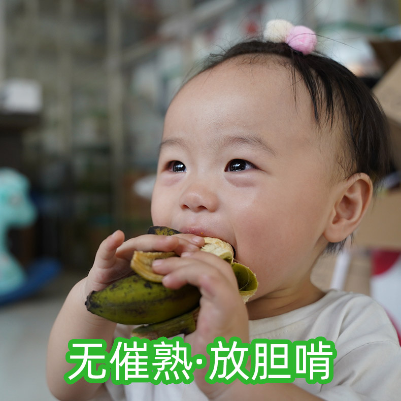 哈尼哒令云南山地香蕉宝宝小号尾香蕉