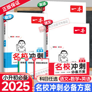 2025新版一本名校冲刺必备方案小升初语文数学英语小学生四五六年级考点专题专项训练书小学升初中总复习考试真题知识大集结练习册