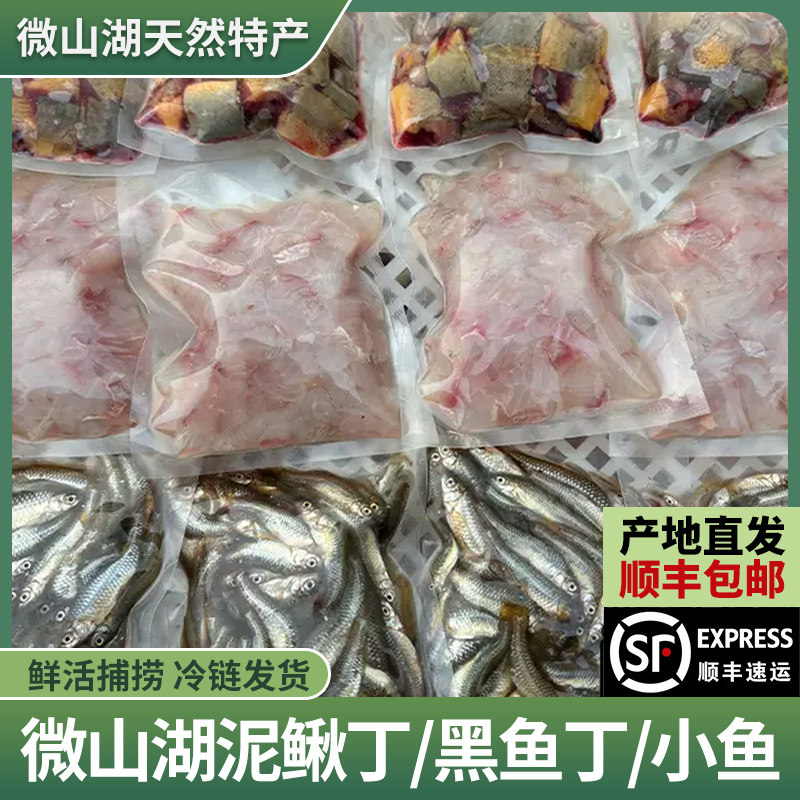 发顺丰新鲜黑鱼丁泥鳅段小麦穗鱼喂养乌龟饲料龙虎魟鱼食冷冻河虾