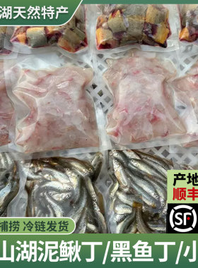 发顺丰新鲜黑鱼丁泥鳅段小麦穗鱼喂养乌龟饲料龙虎魟鱼食冷冻河虾