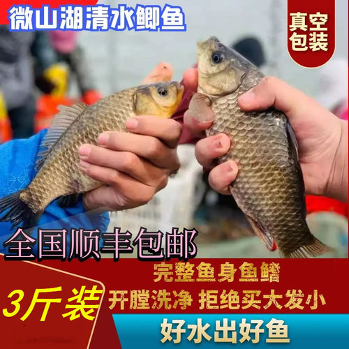 鲜活现杀山东济宁活鱼现杀包邮