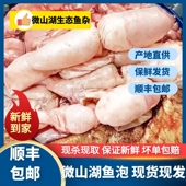 顺丰微山湖鱼泡鱼籽鱼白鱼杂鱼漂鱼鳔鱼肚鱼胶花胶冷链 发货 包邮