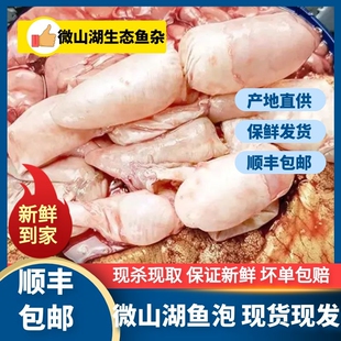顺丰微山湖鱼泡鱼籽鱼白鱼杂鱼漂鱼鳔鱼肚鱼胶花胶冷链包邮发货