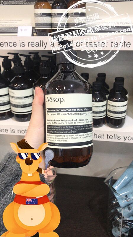 Aesop伊索赋活芳香洗手液手部清洁露500ml清爽洁净酒精泡沫迷迭香
