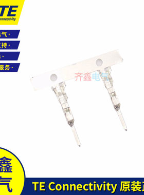 镀锡电源端子1903122-1AMP母针1871731-1DYNAMIC D-1000原装TE