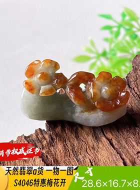 特惠特色黄翡梅花开吊坠天然翡翠a货S4046自然光实拍自产自销