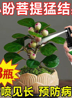 小盼菩提专用营养液促生根壮苗防黄叶掉叶落果不结果烂根枯萎难养