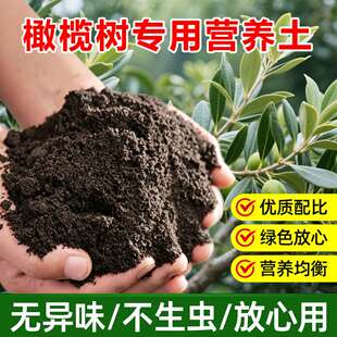橄榄树专用土料树苗花盆栽专用土壤营养土种植肥有机土花卉土家用