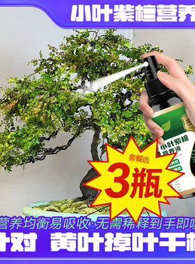 小叶紫檀喷雾剂促长专用营养液促生根发芽调节生长防烂根枯萎液体