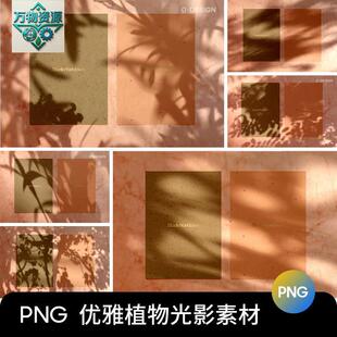 优雅高级自然植物光影阴影光斑效果PNG背景图片PS后期叠加素材图
