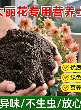 大丽花专用土料种球根盆栽地瓜花苗小丽菊花肥土壤营养土种植家用