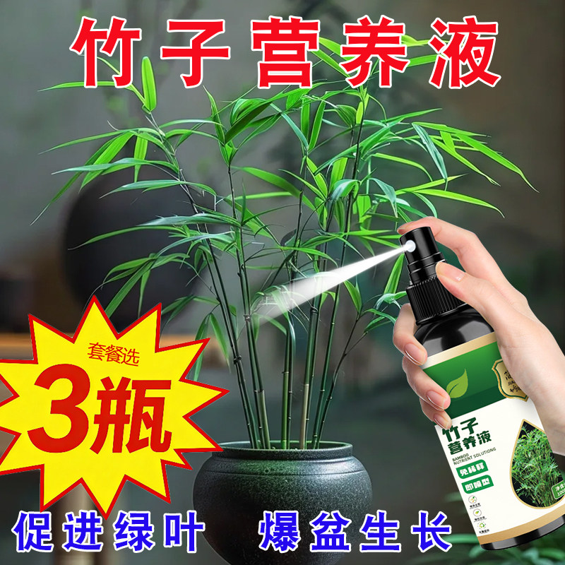 竹子专用营养液一喷绿增绿叶促芽生根壮苗防治黄叶干尖掉叶免稀释