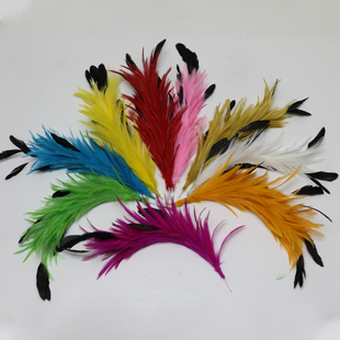 彩色羽毛花鸡尾毛大号铁丝花真羽毛饰品配件工艺装饰拉丁舞表演