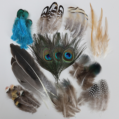 diy小野鸡羽毛毕业设计婚庆装饰